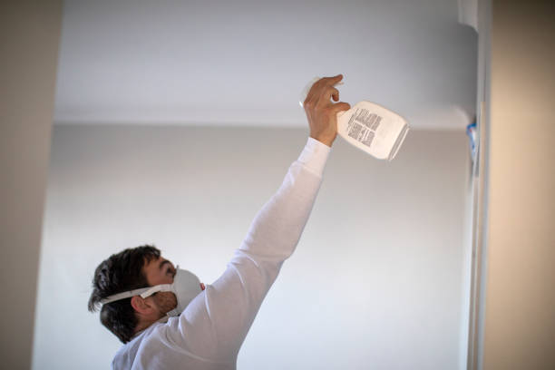 Best Certified Mold Removal  in Le Mars, IA