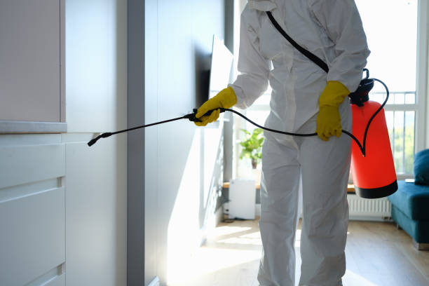 Best Mold Damage Repair  in Le Mars, IA